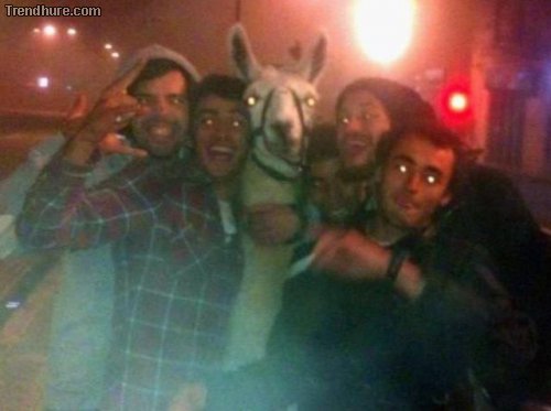 Gesichter des Alkohols #11