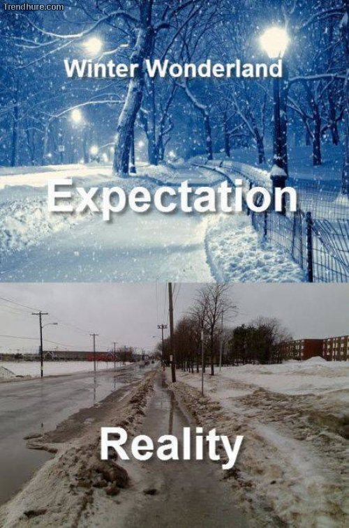 Erwartung vs Realität
