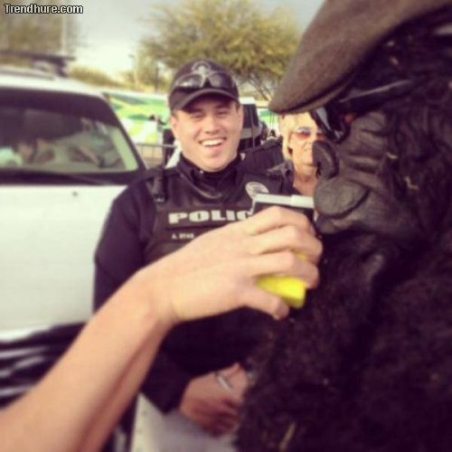 Gesichter des Alkohols