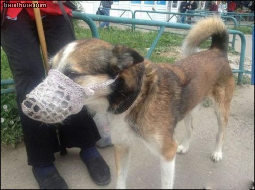 Meanwhile in Russia #28