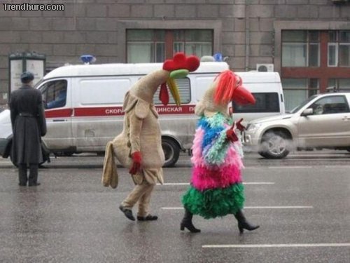 Meanwhile in Russia #28