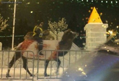 Meanwhile in Russia #28