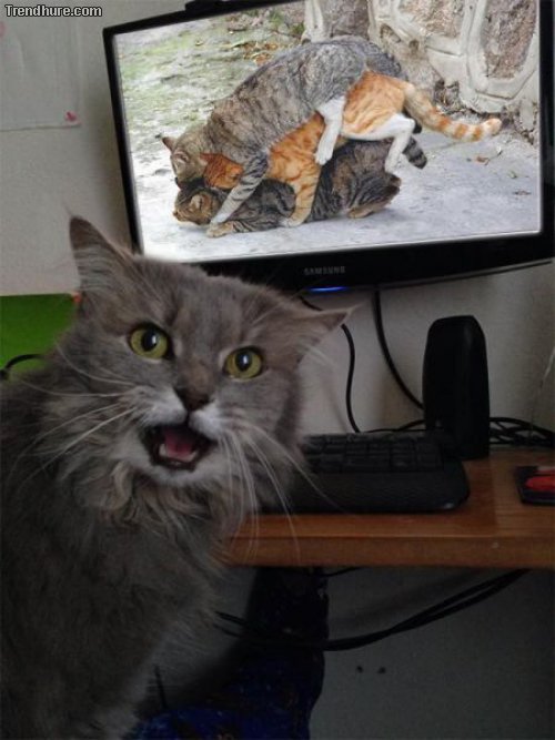Picdump