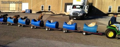 Picdump