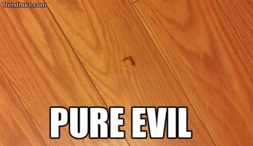 Picdump