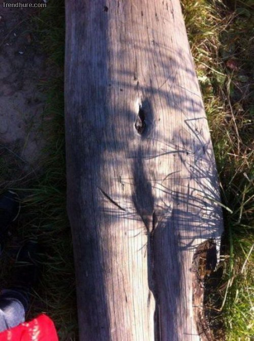 Picdump