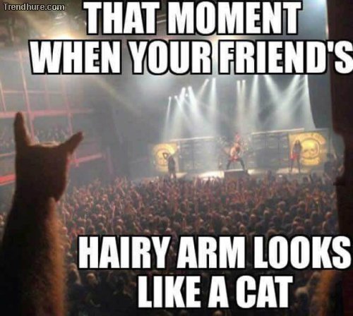 Picdump