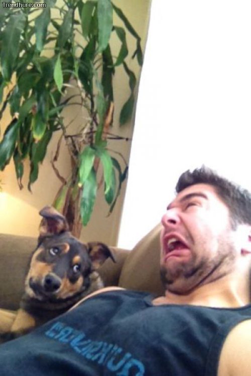 Picdump
