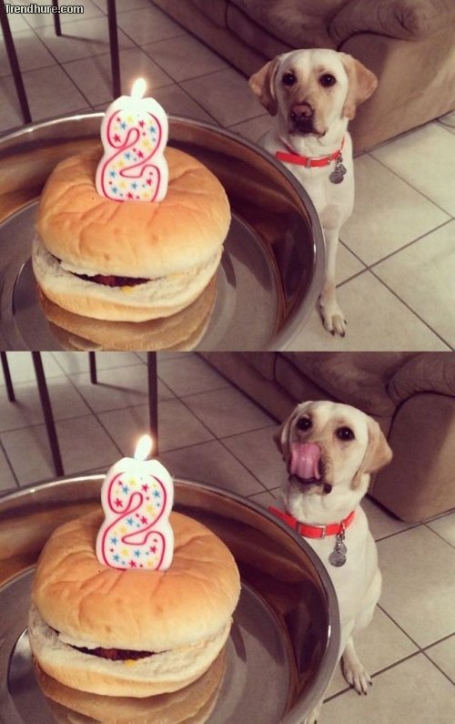 Picdump