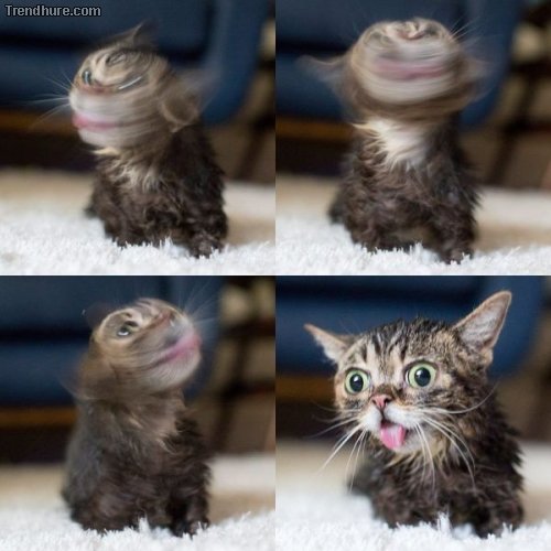 Picdump