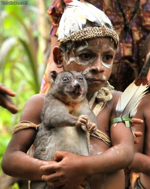 Picdump