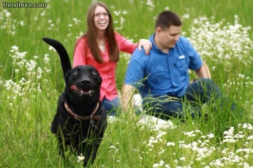 Picdump