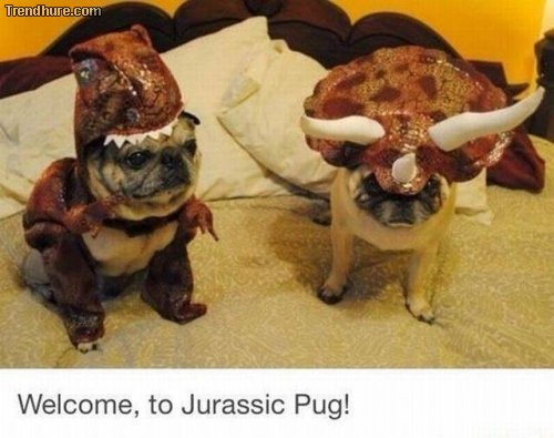 Picdump