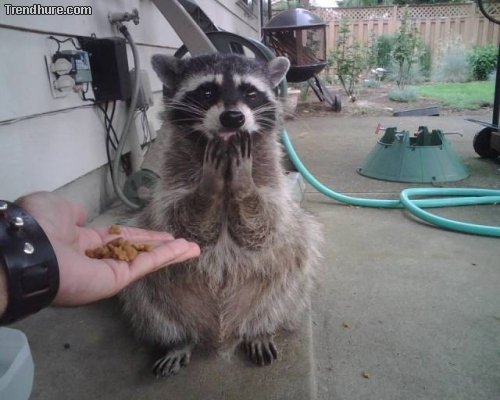 Picdump