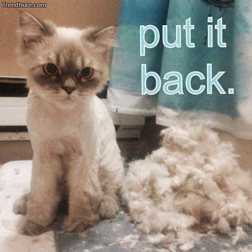 Picdump