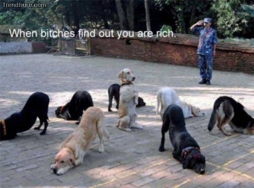 Picdump