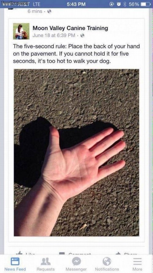 Picdump