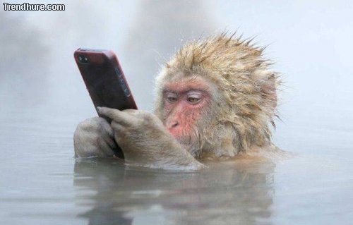 Picdump