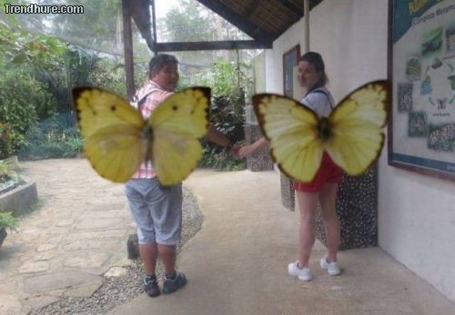 Picdump