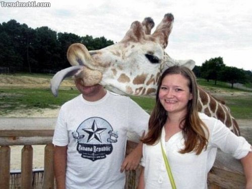 Fotobomben