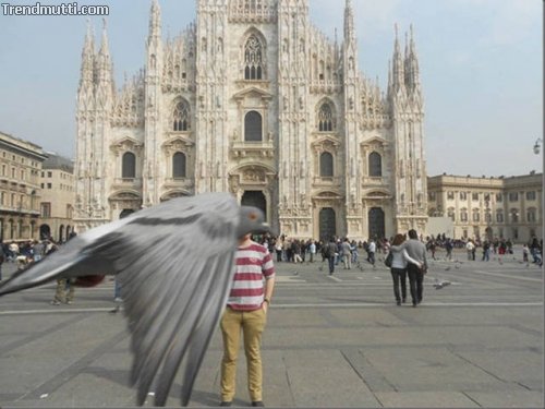 Fotobomben