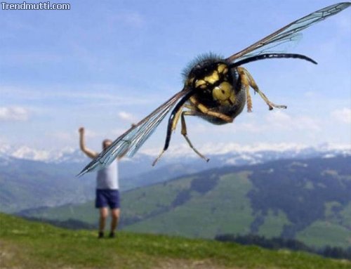 Der richtige Moment