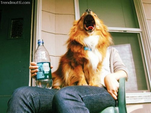 Der richtige Moment