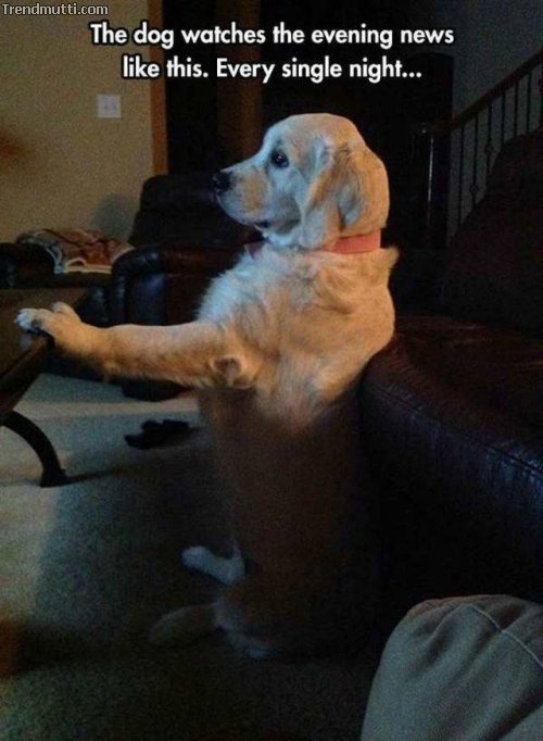 Picdump