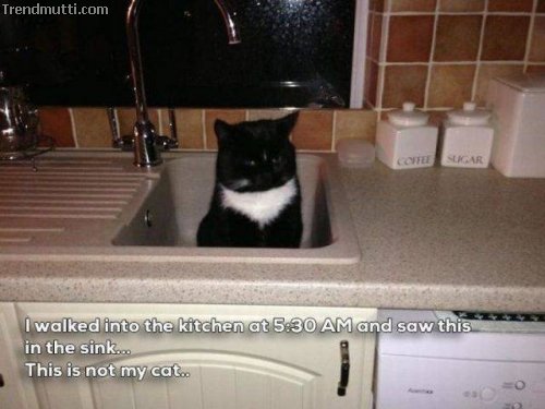 Picdump