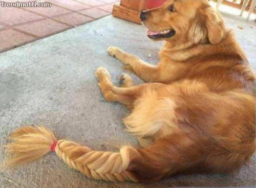 Picdump