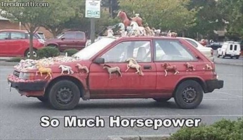 Picdump
