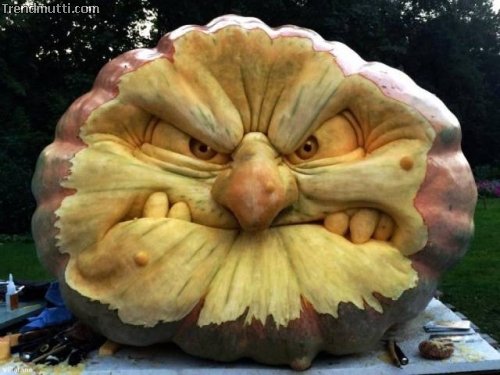 Picdump