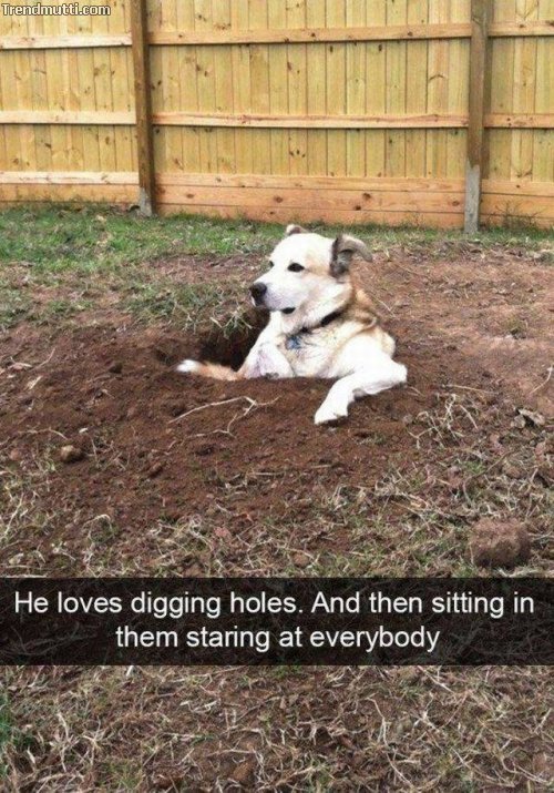 Picdump