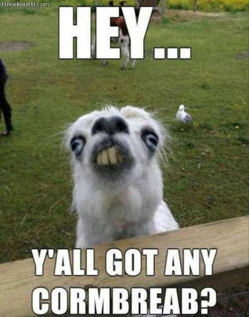 Picdump