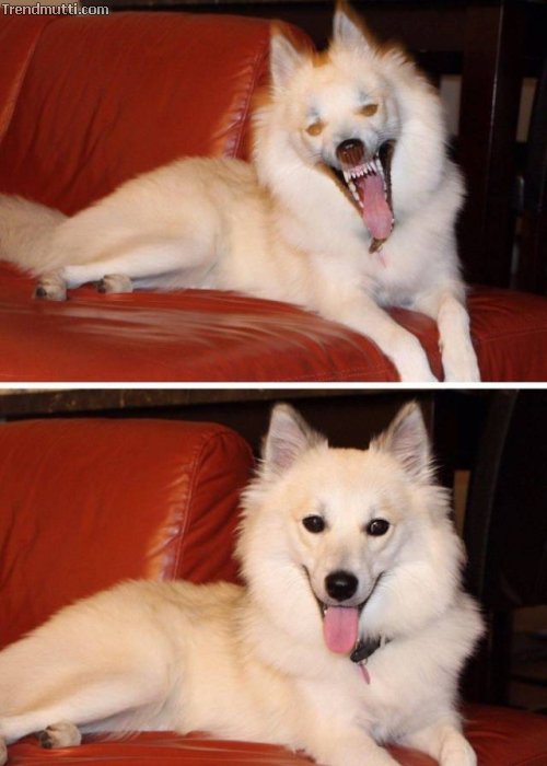 Picdump