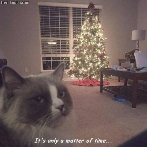 Picdump