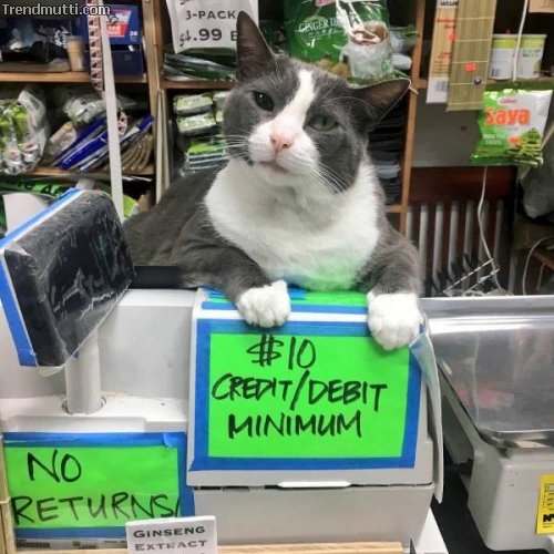 Picdump