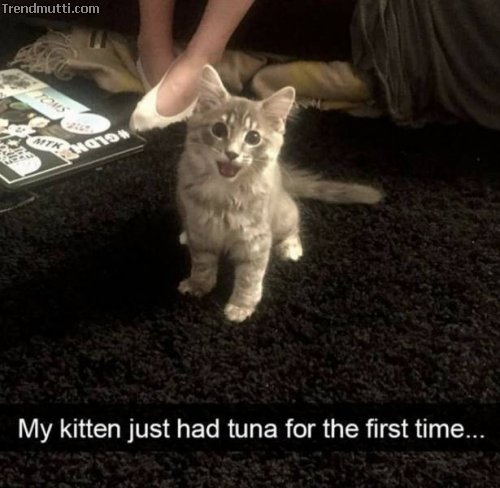 Picdump