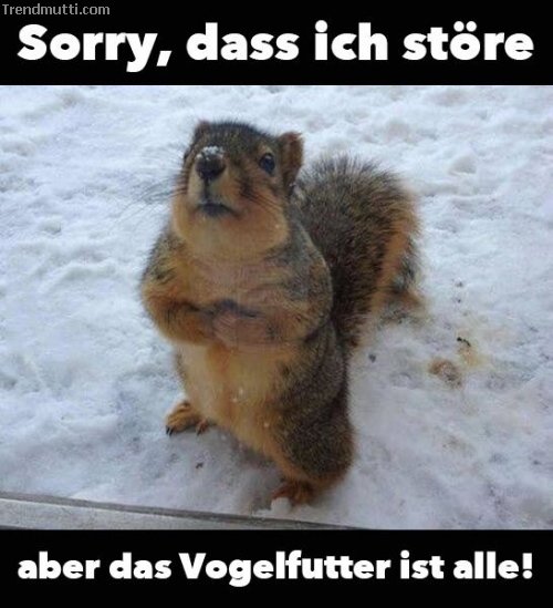 Picdump