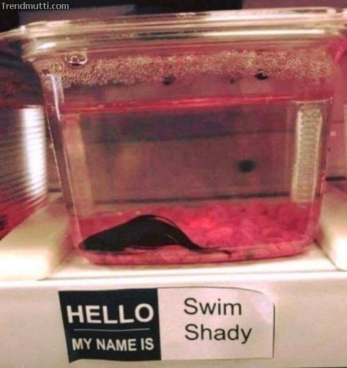 Picdump