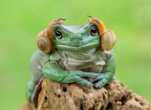 Picdump