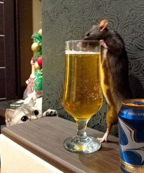 Picdump