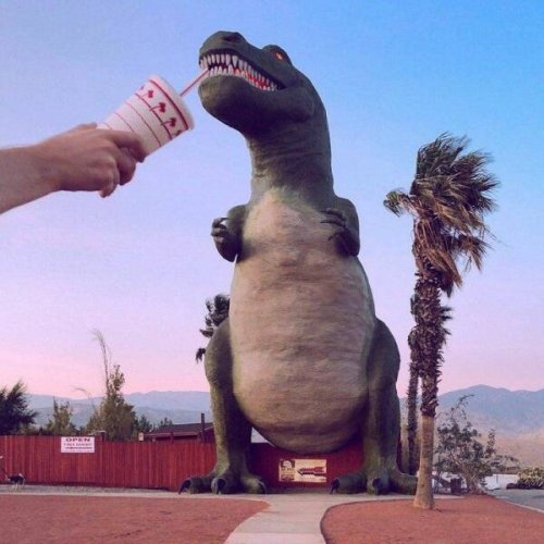 Picdump