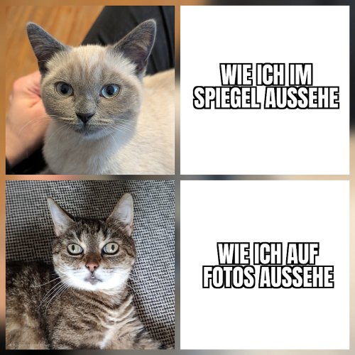 Picdump