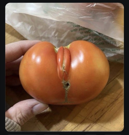 Picdump