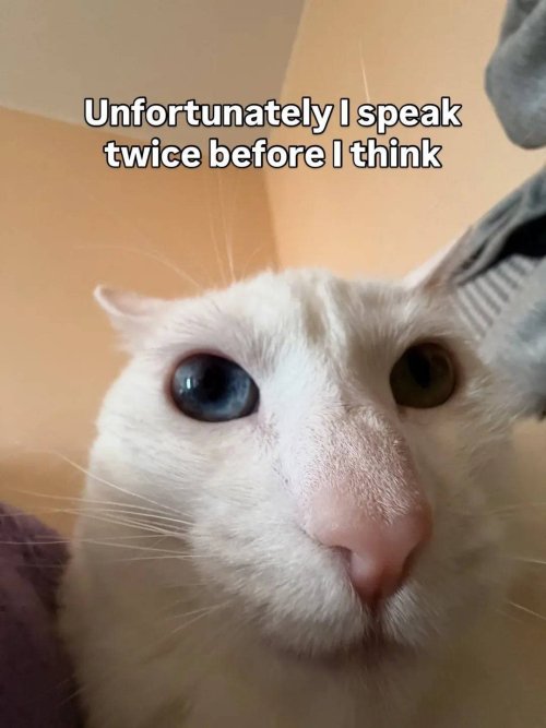 Picdump