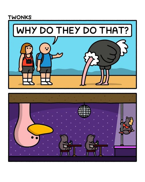 Picdump