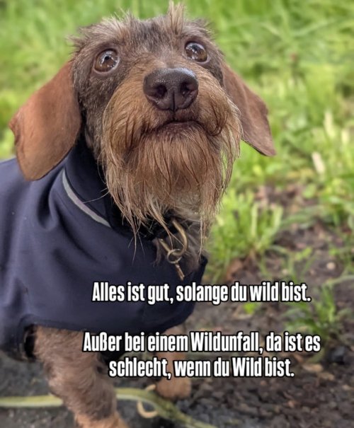 Picdump