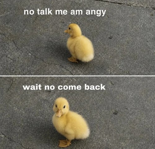 Picdump