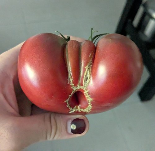 Picdump